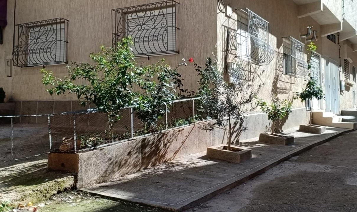 L'Art Chez Omar Apartment Azrou Ngoại thất bức ảnh